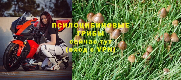 молекула духа Волоколамск