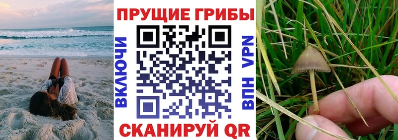 Галлюциногенные грибы прущие грибы  Салават 